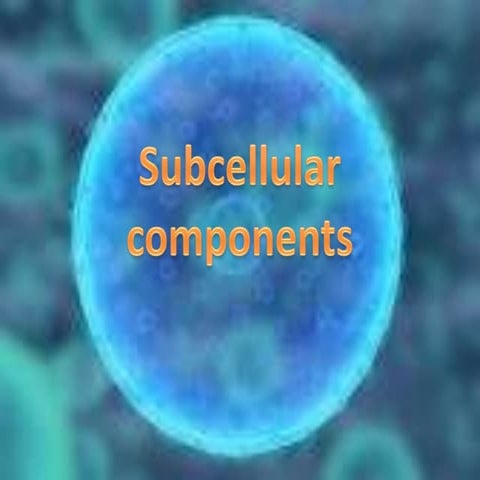 Subcellular components