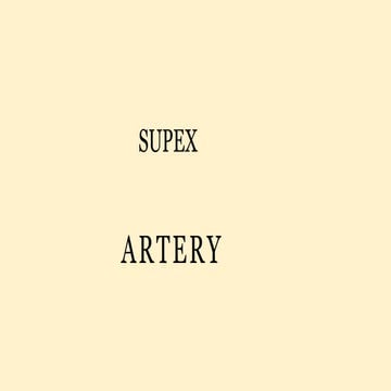 Subclavian artery and it's branches