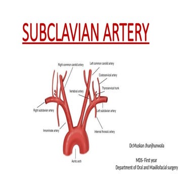 ANATOMY OF subclavian artery IN DETAIL.pptx
