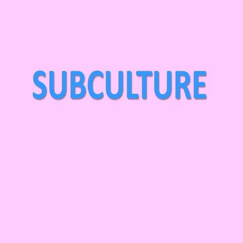 Sub culture | PPTX
