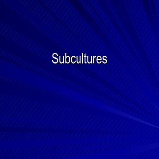 Subcultures And Fashions