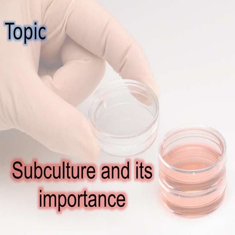 Subculturing