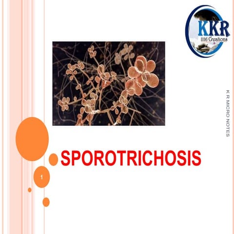 Subcutaneous mycoses            K R.pptx