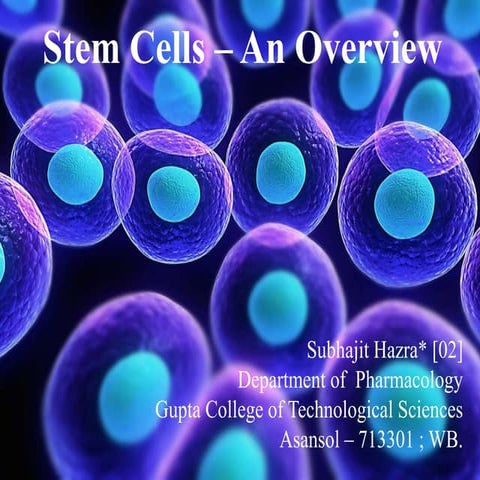 Overview of Stem Cell