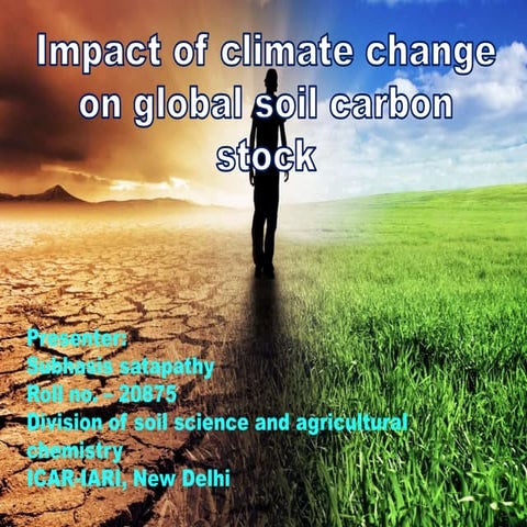 Impact of climate change on global soil carbon stock