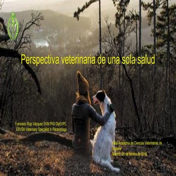 Rol del medico veterinario en desastres naturales | PDF