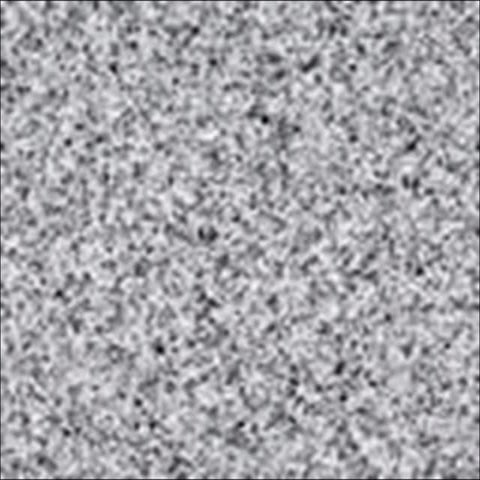 Subject and-object-complement