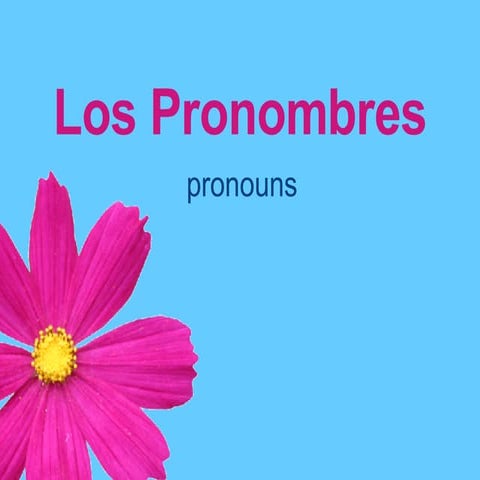 Subject Pronouns & Ser | PPT