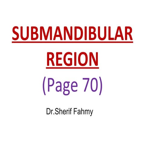 Submandibular Region (Anatomy of the Neck)