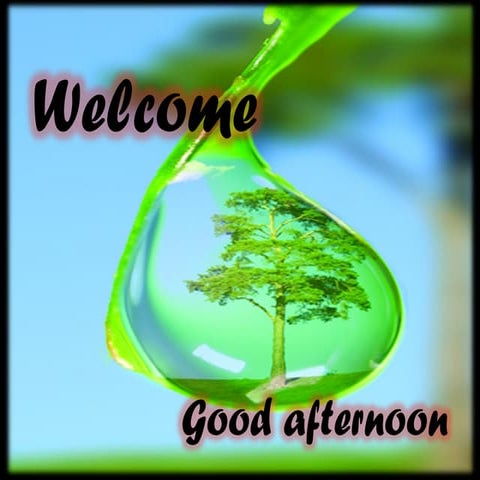 Submerged soil chemistry and management