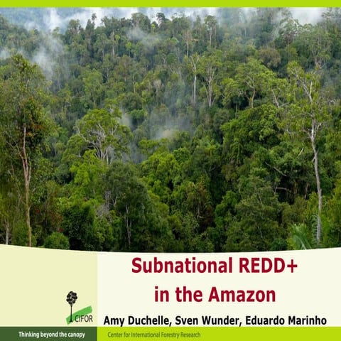 Subnational REDD+ in the Amazon Rainforest
