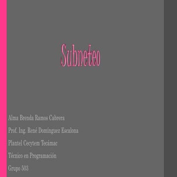 Subneteo
