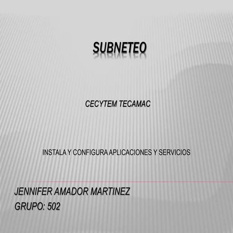 Subneteo