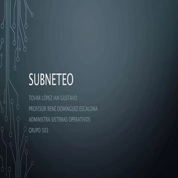 Subneteo