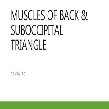 Suboccipital triangle