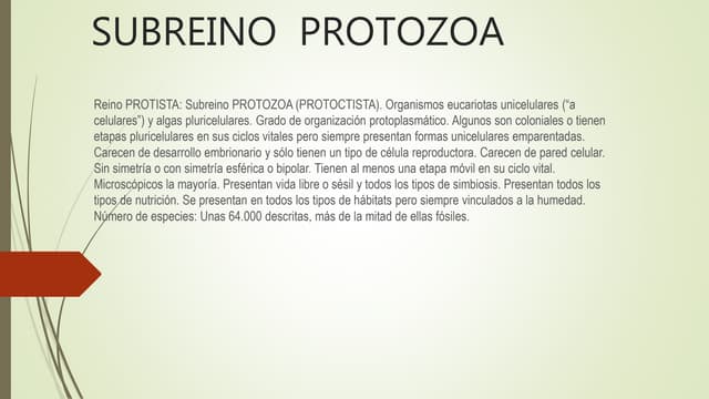 Sub reino  protozoa