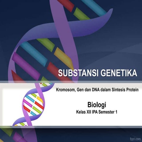 Substansi genetika HS XII 