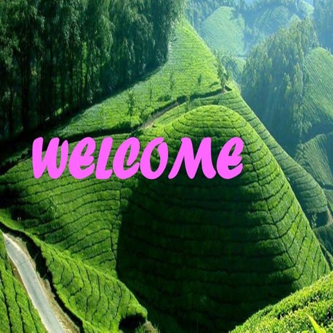 Subsatance abuse- Introduction. Alcohol abuse.pptx