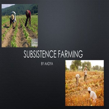 Subsistence farming class 8 agriculture.pptx