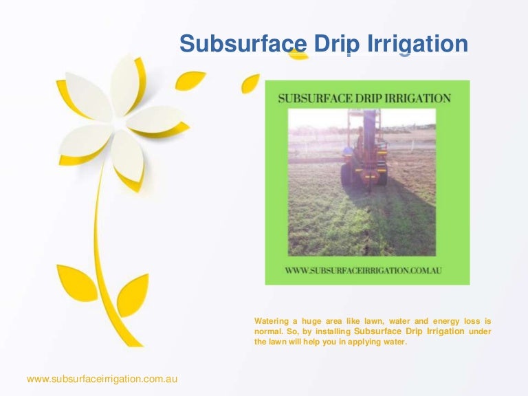 Subsurface drip irrigation