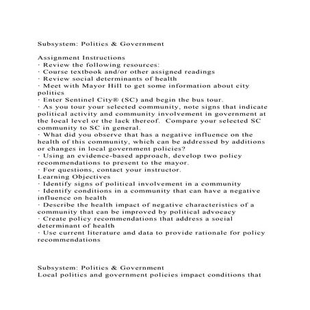 Subsystem Politics & GovernmentAssignment Instructions· Rev.docx