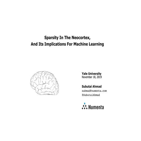 Sparsity In The Neocortex,  And Its Implications For Machine Learning