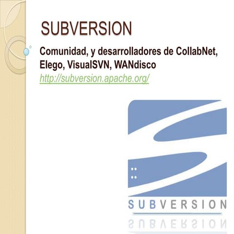 Subversion