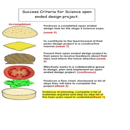 Success criteria open ended science task