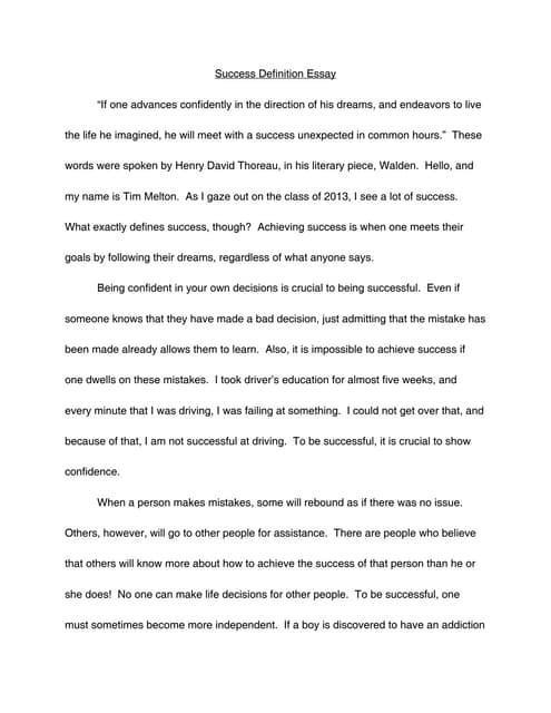 Pursuit of success essay