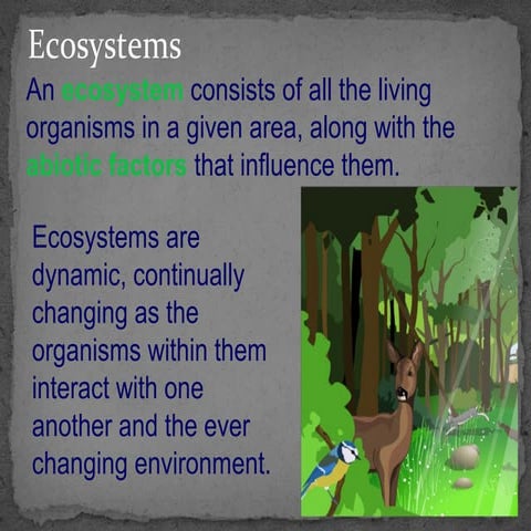 Succession notes 2013