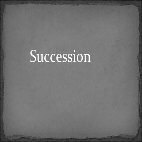 Succession notes 2013 