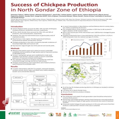 Success of Chickpea Production in North Gondar Zone of Ethiopia