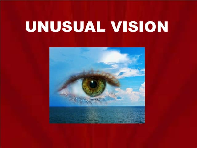 Unusual Vision | Success Resources Richard Tan