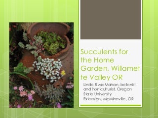 Believing These Seven Myths About Sempervivum Growing Tall Keeps You From Growing