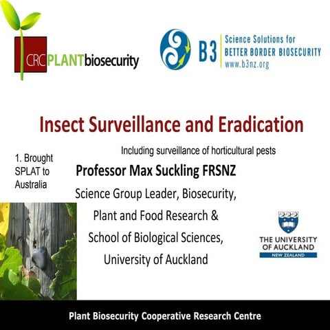 Insect surveillance and eradication