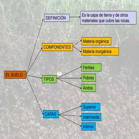 Suelo