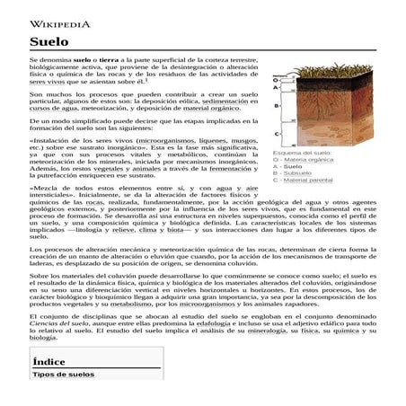 Calcisol.pdf
