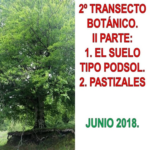 Suelo podsol. pastizales ala 