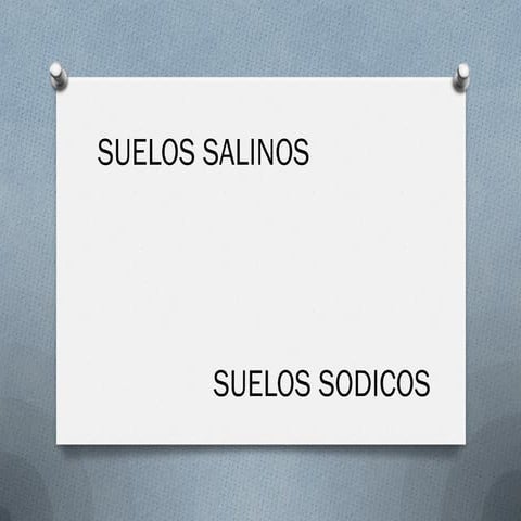 Suelo salino (1)