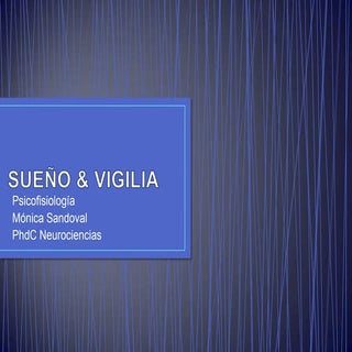 Sueño & vigilia