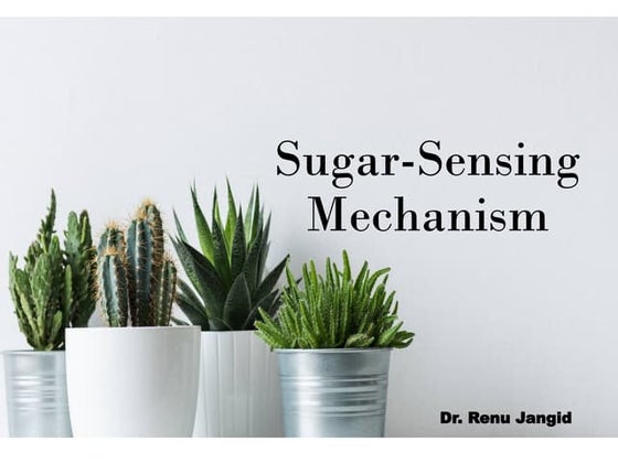 Sugar-Sensing Mechanism in plants....pptx