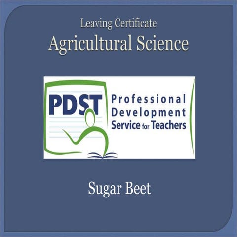 Sugar Beet cultivation practices    .ppt