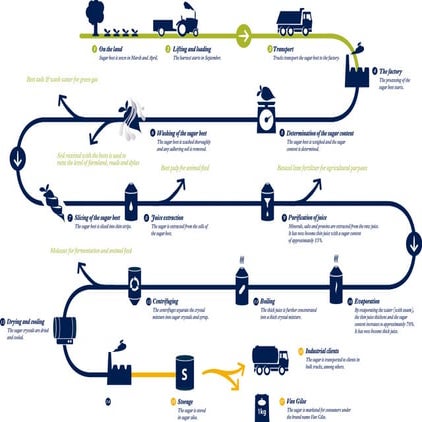 Sugar beet production | PDF