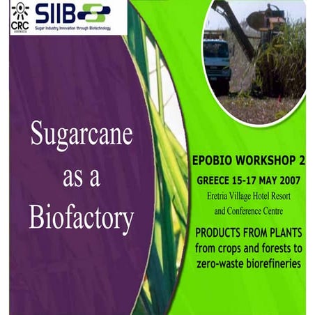 Sugarcane As A Biofectory