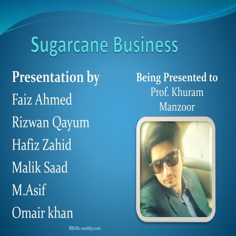 Sugarcane business ranger campus islamia universty bahawalpur