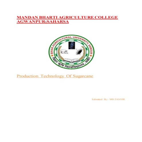 Production Technology Of Sugarcane