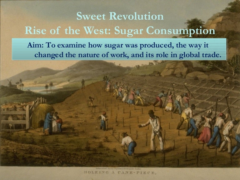 Sugar Trade Period 4