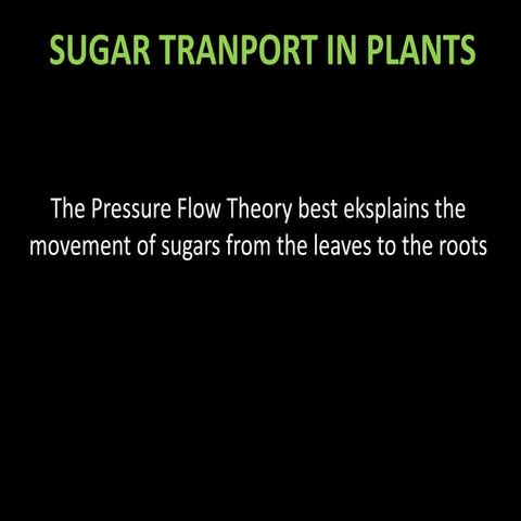 Sugar transport in plant