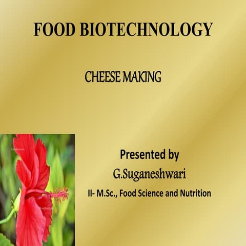 Cheese Production Process | PPTX