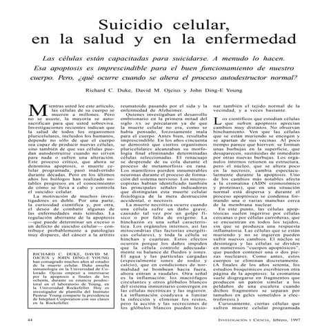 Suicidio celular, en la salud y en la enfermedad